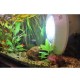 Spot Blanc étanche à LED 272pcs pour piscine 