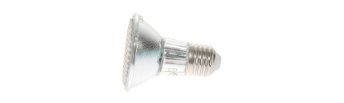 Ampoule LED 