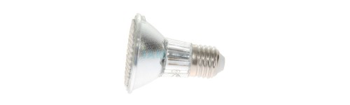 Ampoule LED  Ampoule LED
